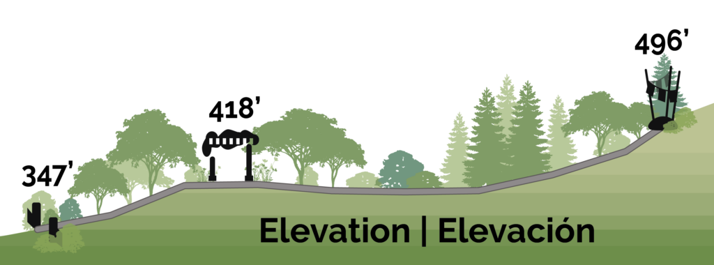 Elevation