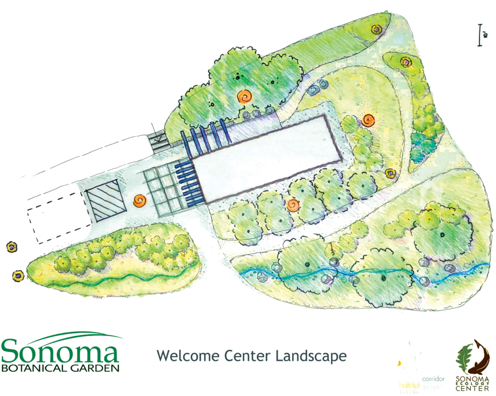 Hand rendered plan of the proposed Visitor Center Landscape.